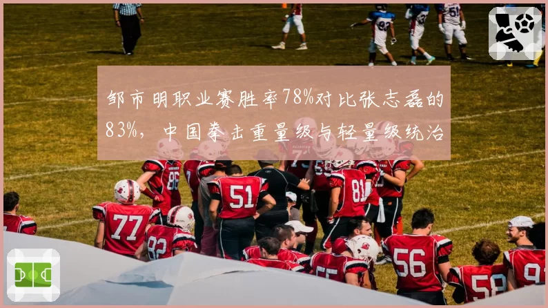 邹市明职业赛胜率78%对比张志磊的83%,中国拳击重量级与轻量级统治力差异