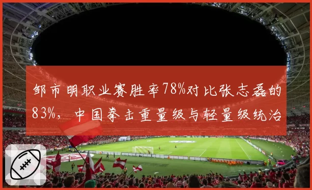 邹市明职业赛胜率78%对比张志磊的83%,中国拳击重量级与轻量级统治力差异